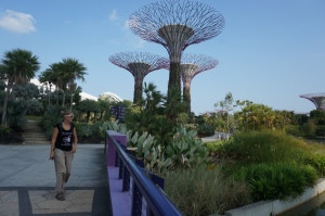 Garden By the bay
